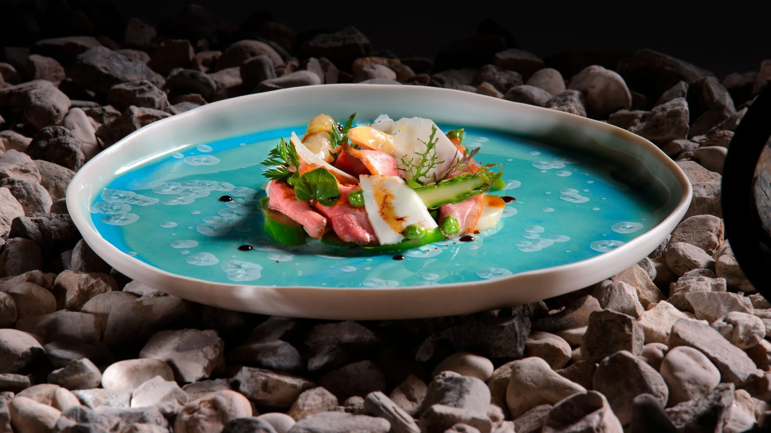Piatto gourmet con salmone e verdure su salsa azzurra, decorato con erbe, appoggiato su ciottoli all’aperto nelle Dolomiti di Alta Badia.