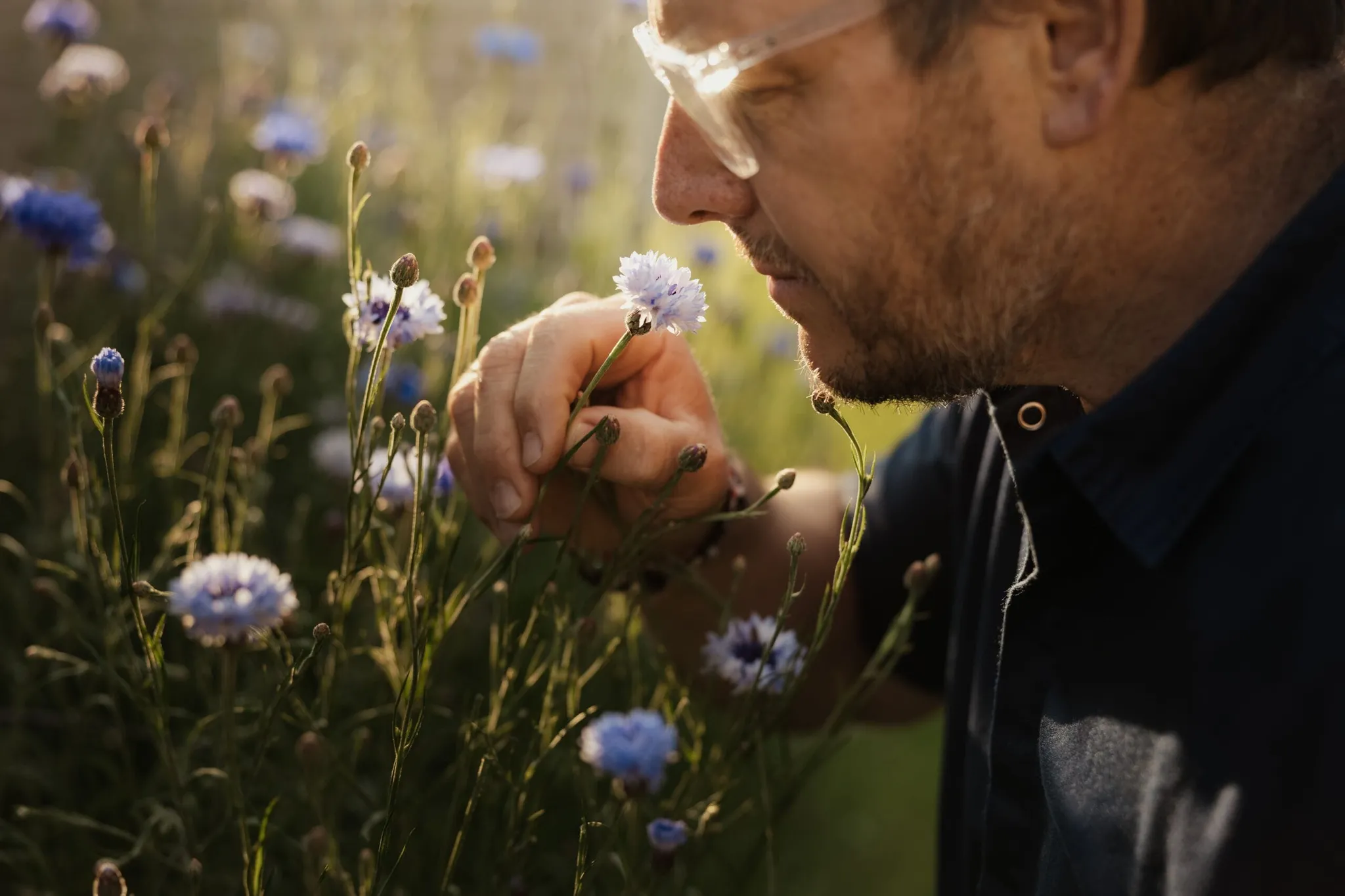 Person in dunklem Hemd und Schutzbrille beugt sich zu einer hellblauen Blume in einer Wildblumenwiese in Alta Badia, Dolomiten, und schnupft daran.