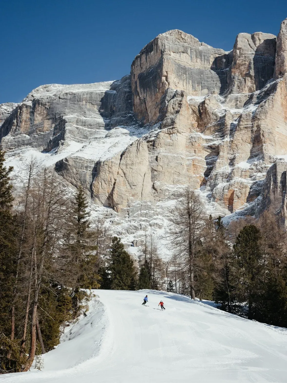 Zwei Skifahrer auf einer verschneiten Piste durch baumbestandene Hänge, vor imposanten Dolomitenfelsen und klarem blauen Himmel – Alta Badia, Dolomiten.