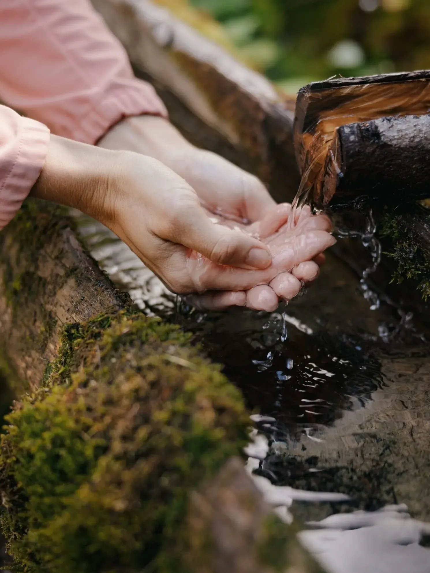 Hands cupping clear water from a rustic wooden trough in an outdoor Alta Badia setting, surrounded by moss and nature.