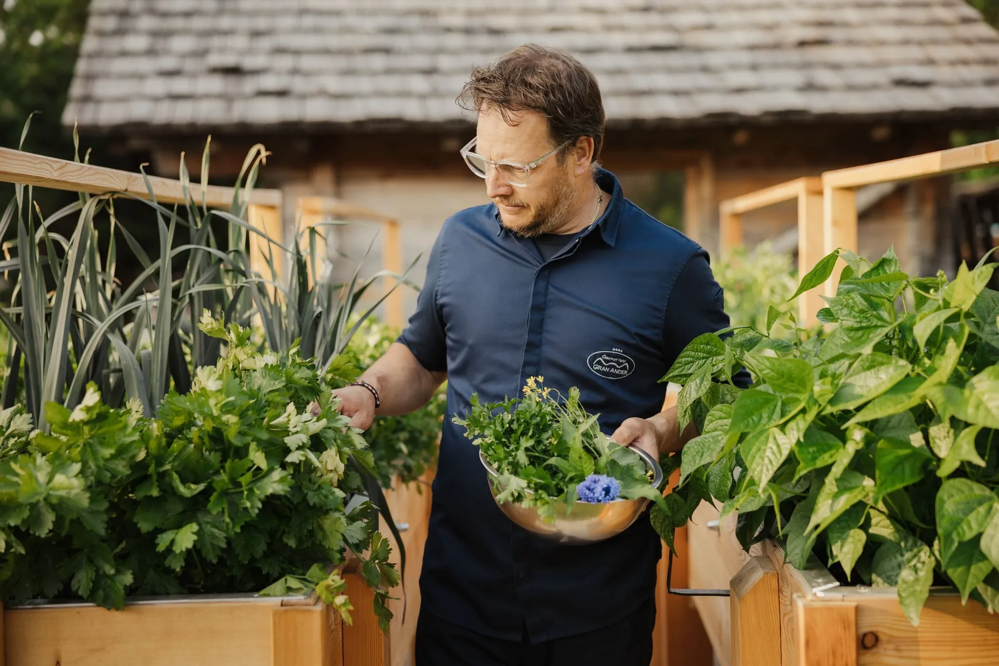 Andrea Irsara ha una ciotola con erbe fresche tra vasi di legno e piante in Alta Badia, Dolomiti.