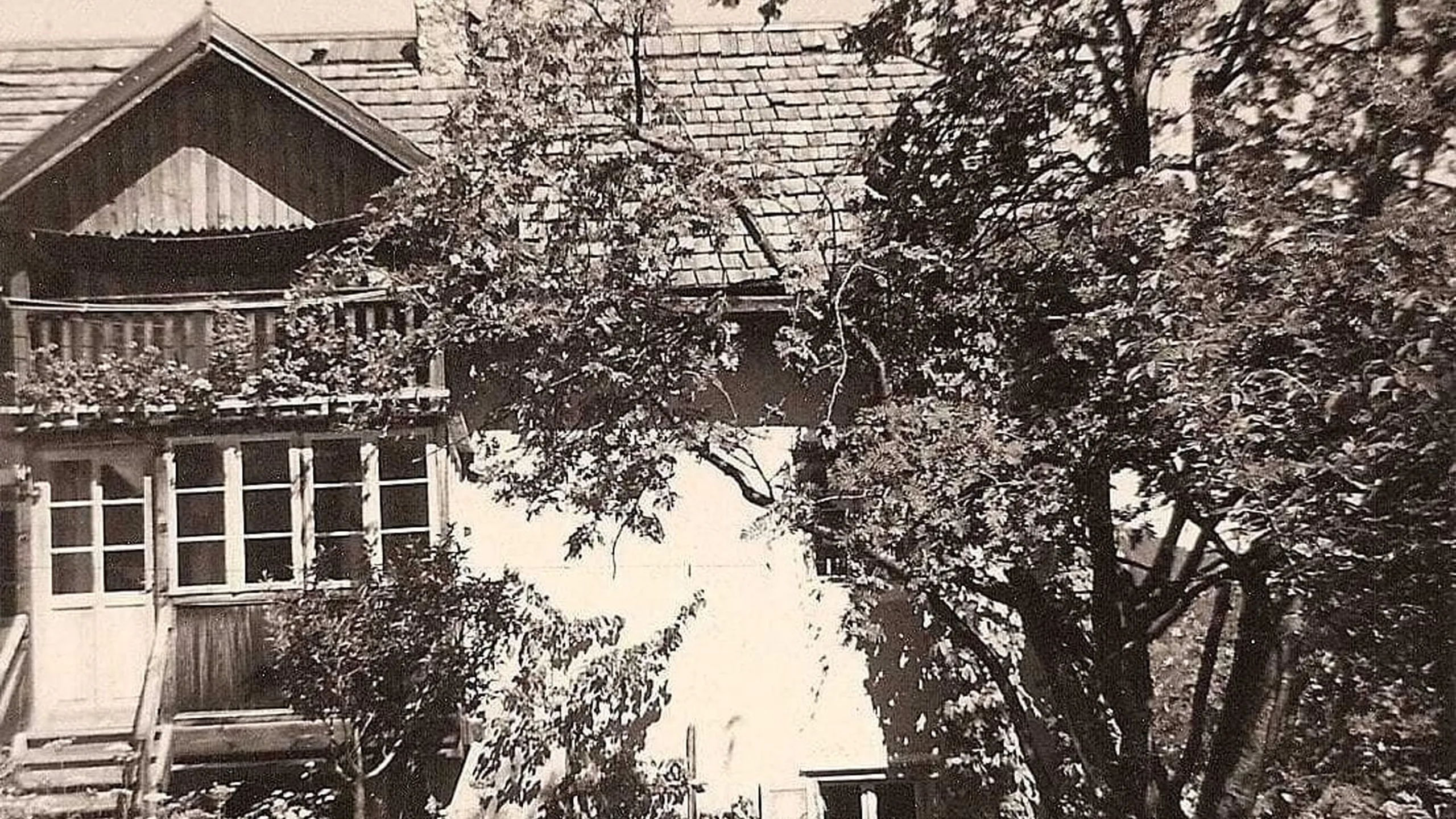 Casa alpina tradizionale con veranda e porte finestre, balcone con piante, grande albero a destra e tetto a spiovente.