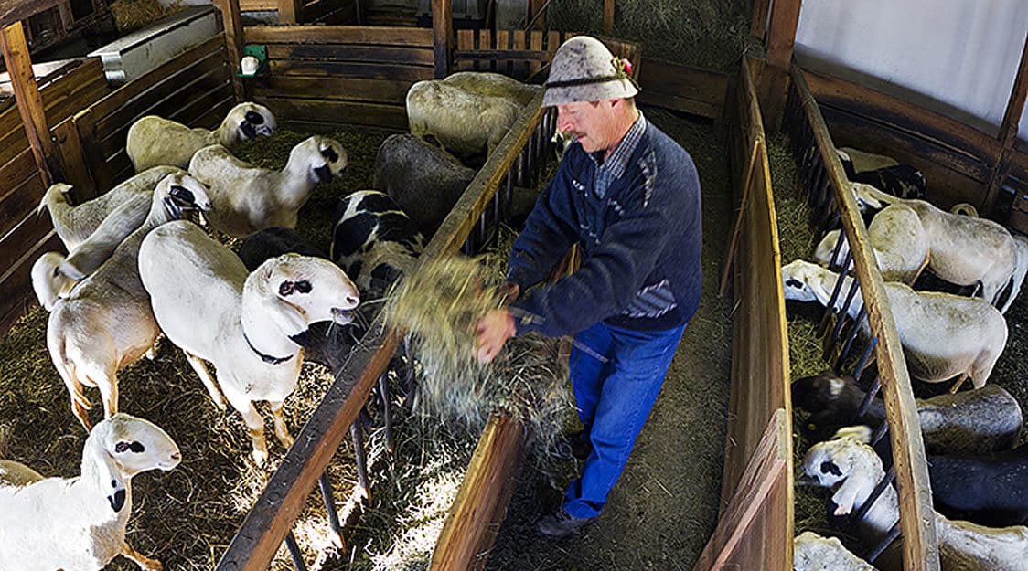 Products farmers of South Tyrol