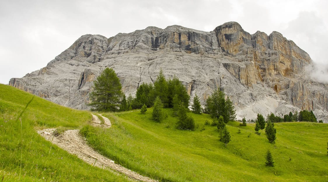 Armentara Wiesen Alta Badia